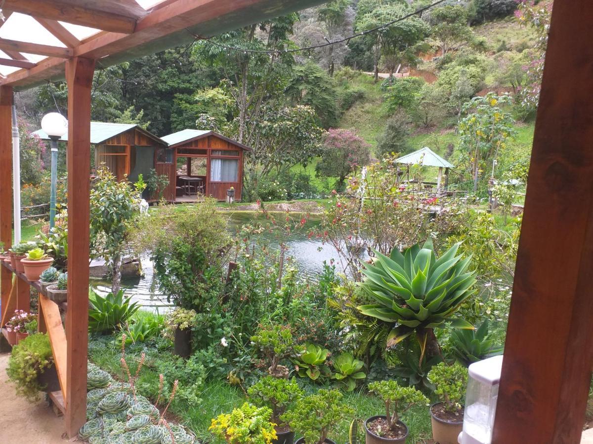 Las Cataratas Lodge San Gerardo de Dota Dış mekan fotoğraf