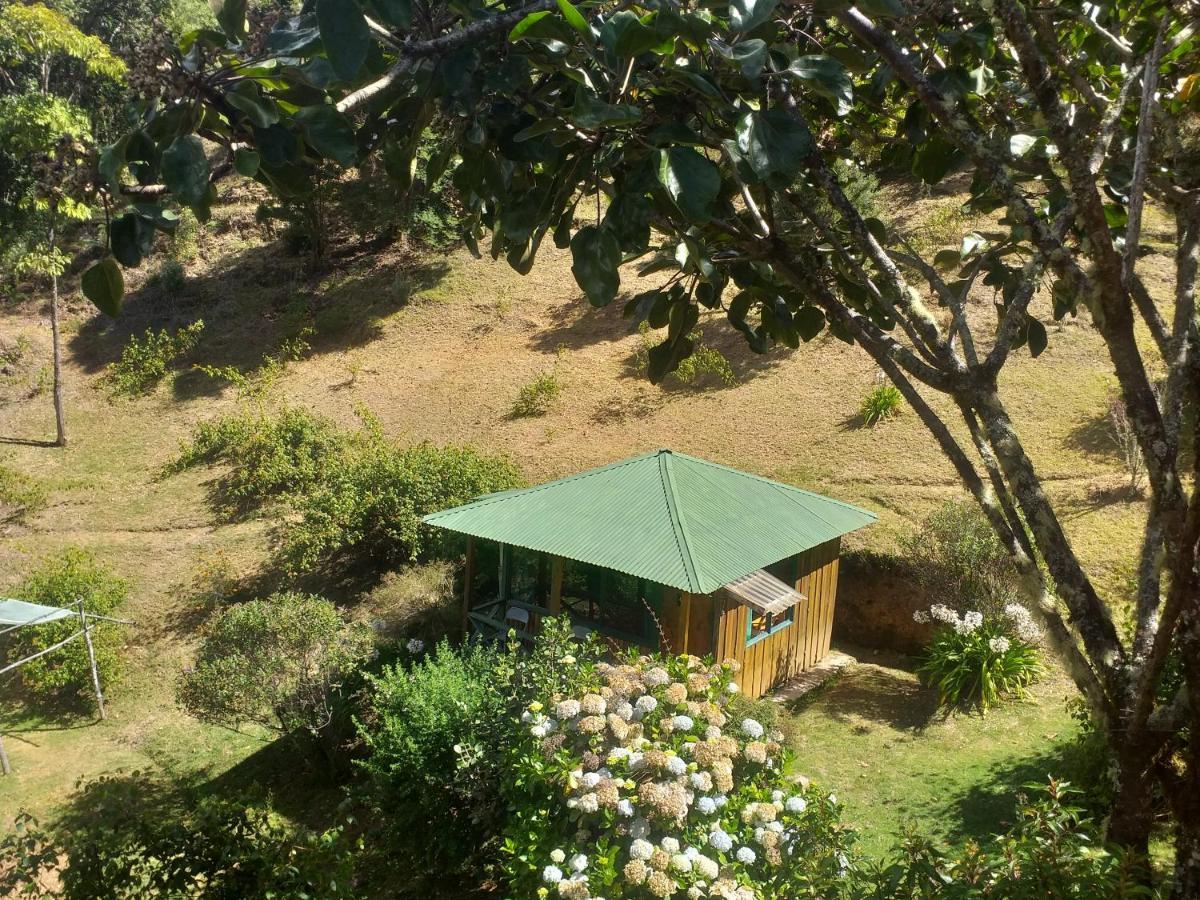 Las Cataratas Lodge San Gerardo de Dota Dış mekan fotoğraf