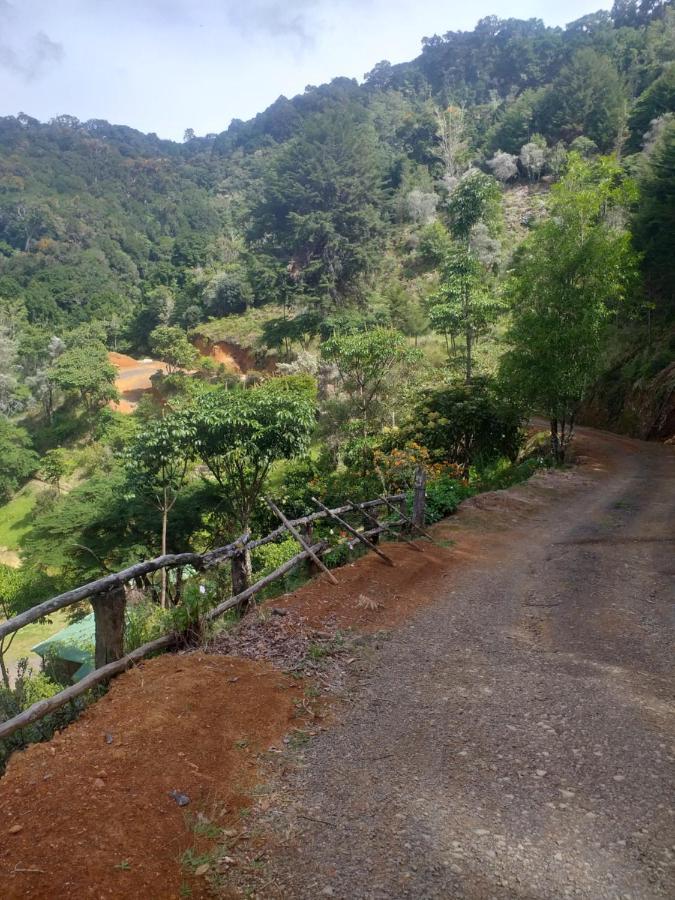 Las Cataratas Lodge San Gerardo de Dota Dış mekan fotoğraf