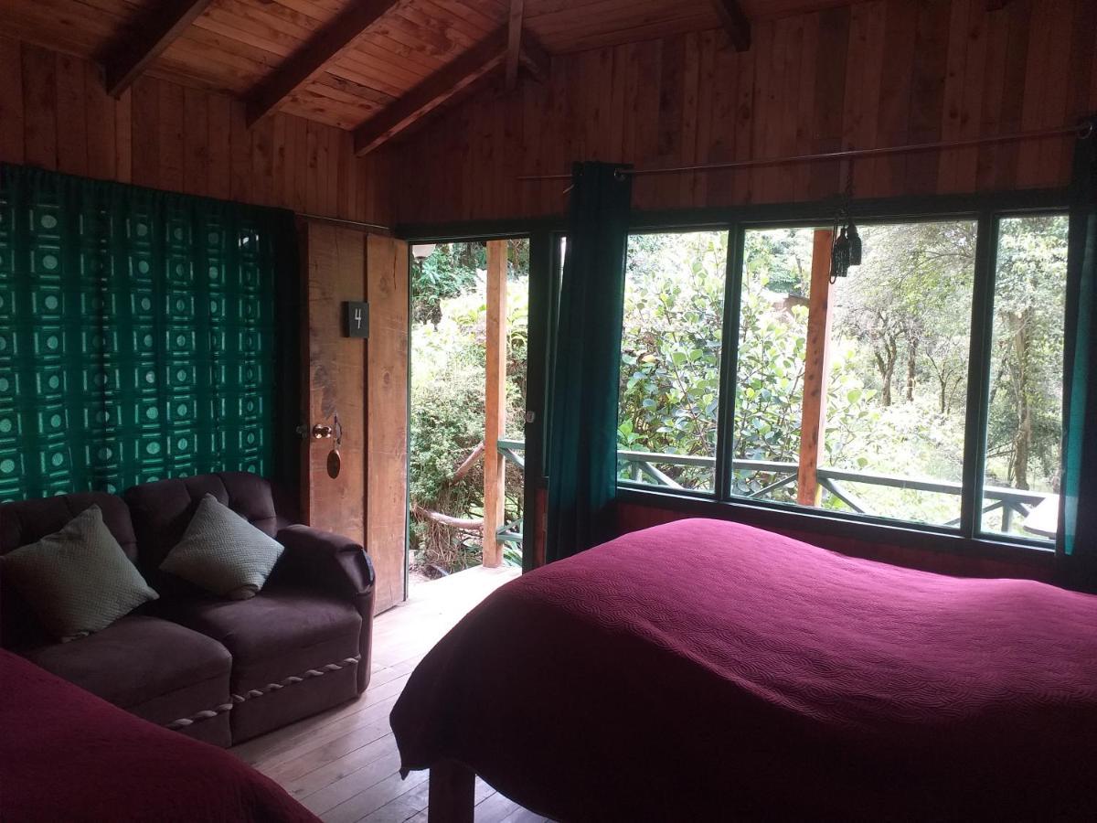 Las Cataratas Lodge San Gerardo de Dota Oda fotoğraf