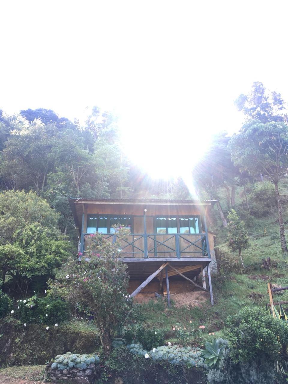 Las Cataratas Lodge San Gerardo de Dota Dış mekan fotoğraf