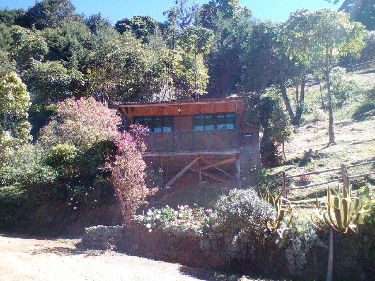 Las Cataratas Lodge San Gerardo de Dota Dış mekan fotoğraf