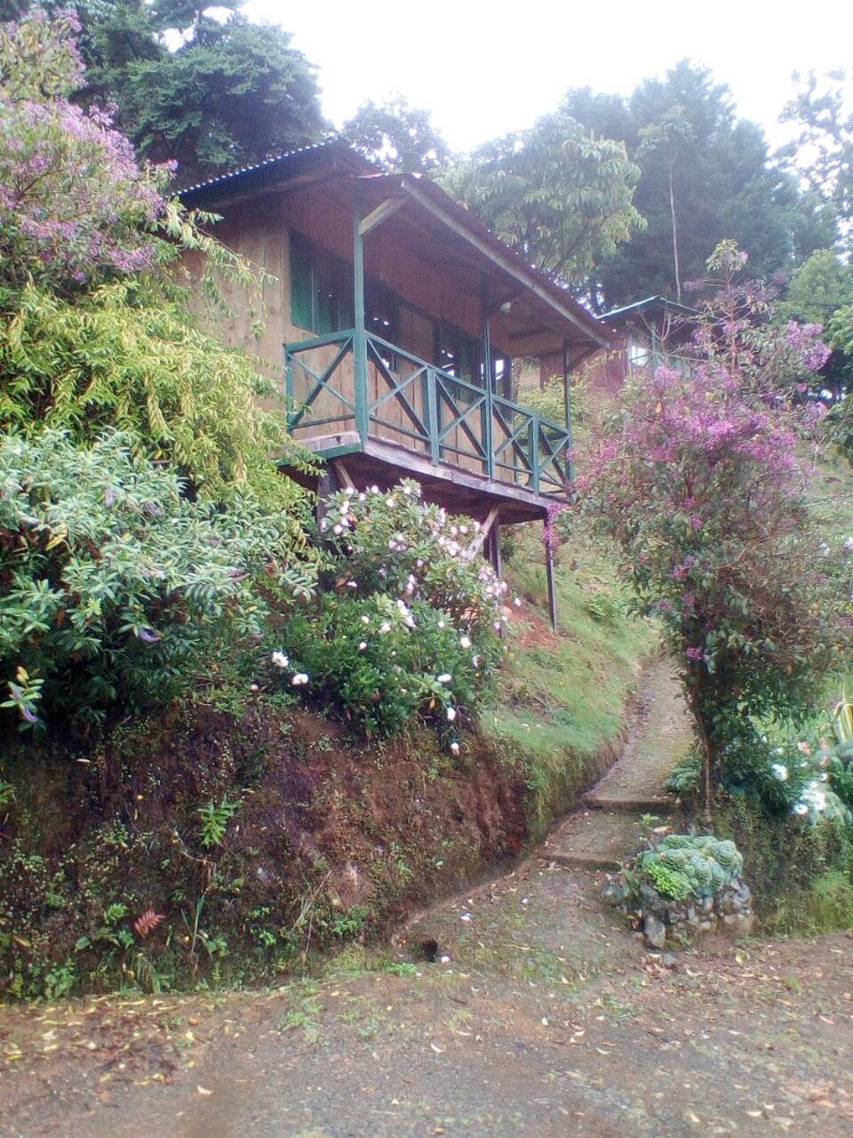 Las Cataratas Lodge San Gerardo de Dota Dış mekan fotoğraf